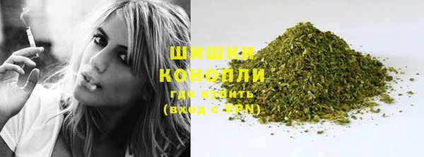 амф Богданович