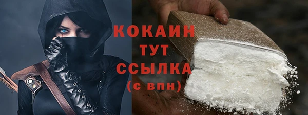 МДПВ Бородино