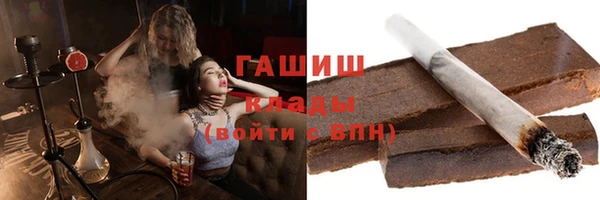 МДПВ Бородино