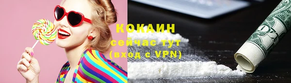 амф Богданович