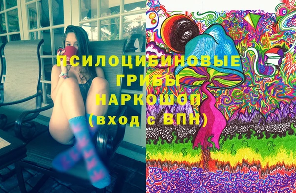 амф Богданович