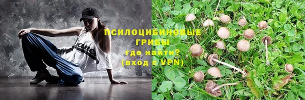 МДПВ Бородино