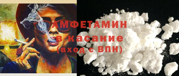 МДПВ Бородино