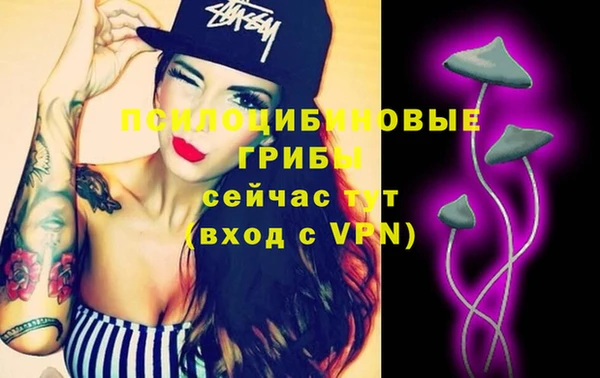прущая мука Богородицк