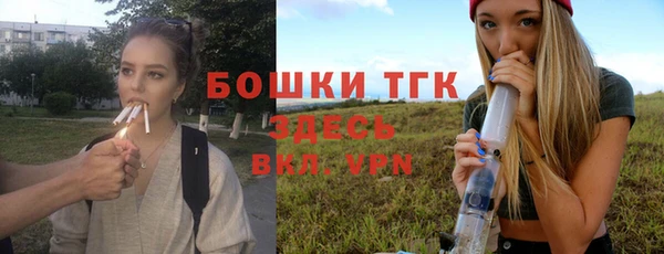 амф Богданович