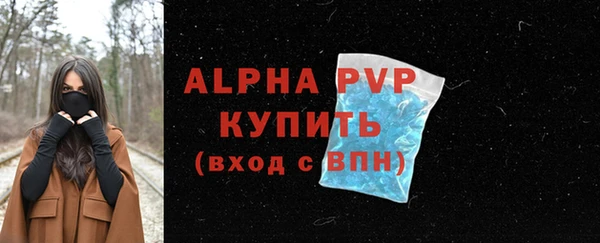 амф Богданович